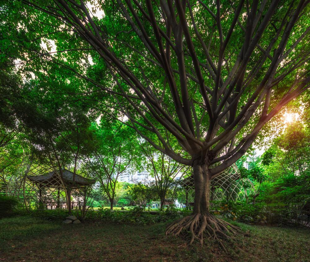 Chengdu Wangjiang Hotel Buitenkant foto